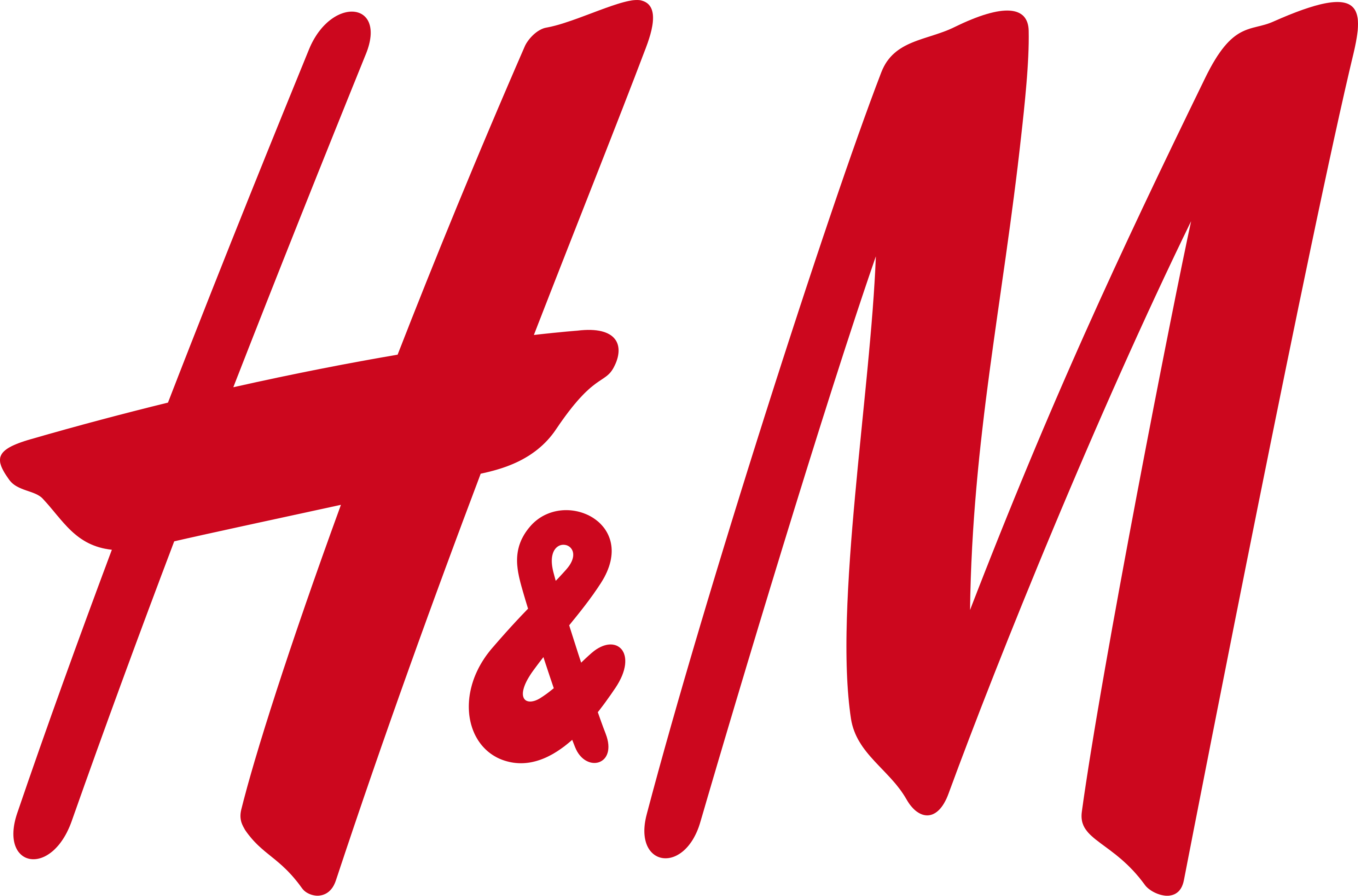 H&M logosu